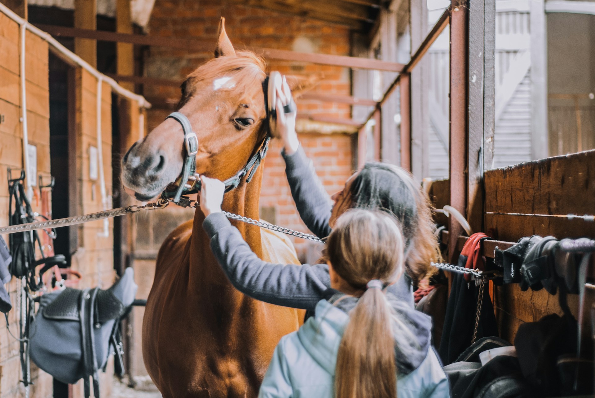 Equine-Assisted Therapy