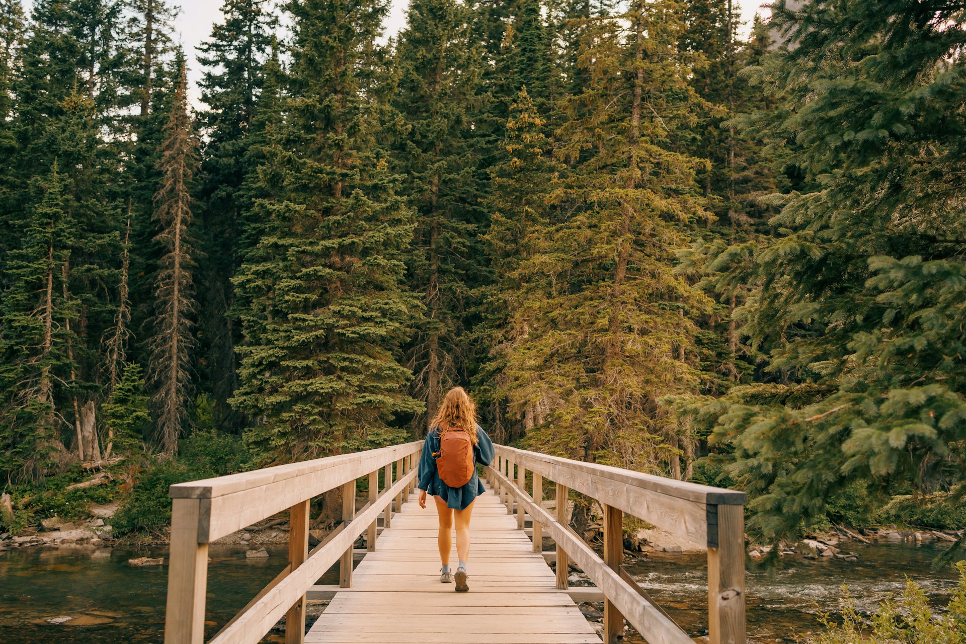 Nature-Based Therapy