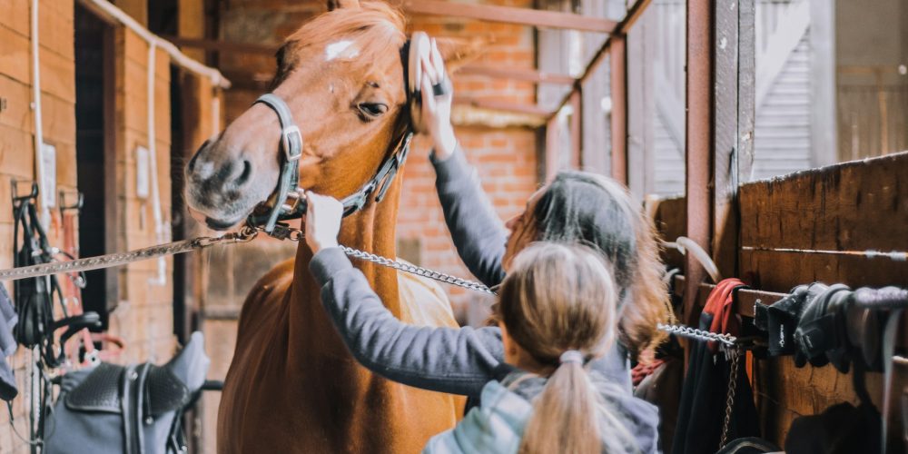 Equine-Assisted Therapy